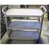 Image 1 : 3-TIER PLASTIC COMMERCIAL SERVICE CART