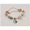 Image 1 : NEW! PANDORA STYLE CHARM BRACELET