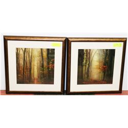 SET OF 2 WOOD FRAMED OUTDOORS SCENIC