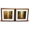 Image 1 : SET OF 2 WOOD FRAMED OUTDOORS SCENIC