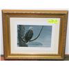 Image 1 : ROBERT BATEMAN SIGNED FRAMED BALD EAGLE PRINT
