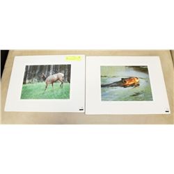 LOT OF 2 SIGNED AND NUMBERED RICHARD WEAR ELK
