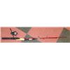 Image 1 : 2 FISHING RODS & A REEL- 1 IS A TELESCOPIC ROD