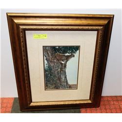 23" X 26" BEAUTIFUL CHEETAH  IN TREE FRAMED PRINT