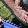 Image 3 : NEW SKYWALKER TRAMPOLINE