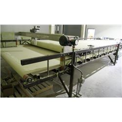 ADJUSTABLE SPRAY CONVEYOR WITH TEFLON BELT