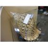 Image 1 : LARGE SEASHELL