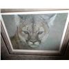 Image 2 : INTENT COUGARS BY ROBERT BATEMAN LEP 24379