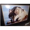 Image 2 : THE EYES PRINT 24794
