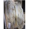 Image 2 : 2 PIECE MATCHING FISH FOSSIL ROCK