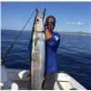 Image 2 : Sea of Cortez deep sea fishing