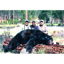 White Mountain Apache Black Bear Hunt for Wounded Warrior