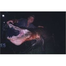 Florida Gator and Hog hunt