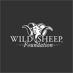 Wild Sheep Foundation Life Membership