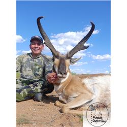 Arizona Commission Antelope Tag