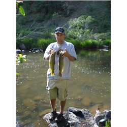 Black River Pack-in Fishing and Camping Trip in the White Mountains