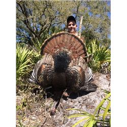 Florida Osceola Turkey Hunt