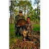 Image 2 : Florida Osceola Turkey Hunt
