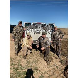 Texas "Ribeye-in-the-Sky" Sandhill Crane Hunt for 2 Hunters