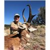 Image 1 : New Mexico Trophy Pronghorn hunt for 1