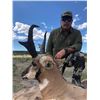 Image 4 : New Mexico Trophy Pronghorn hunt for 1