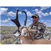 Image 5 : New Mexico Trophy Pronghorn hunt for 1