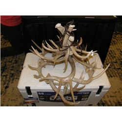Texas Whitetail Antler Chandelier