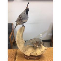 Gambel's Quail Pair on Sheep Horn "Desert Splendor"