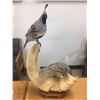 Image 1 : Gambel's Quail Pair on Sheep Horn "Desert Splendor"