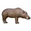 Image 1 : Rinehart Woodland Boar Archery Target