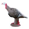 Image 1 : Rinehart Tom Turkey Archery Target