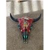 Image 1 : Painted American Bison Skull