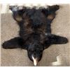 Image 1 : BLACK BEAR, ARIZONA, FULL RUG WITH HEAD, BLACK- 60"W X 60"L