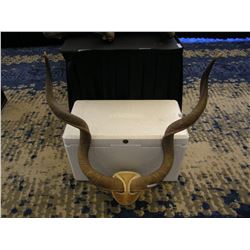 Kudu Horns Mount