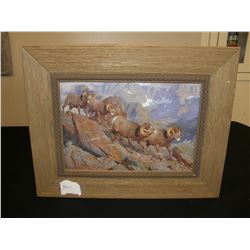 Framed Canvas - Home of the Pika A (Bighorn Sheep)