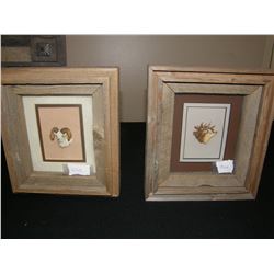 Framed (2) Tie Tack Set, Dall Sheep & Elk