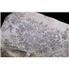 Image 8 : "The Fisherman" by Dick Flager Talc Carving