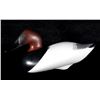 Image 2 : Canvasback Decoy Pair by Patrick Vincenti