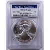 Image 1 : 2013-(W) AMERICAN SILVER EAGLE