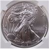Image 2 : 2019 AMERICAN SILVER EAGLE