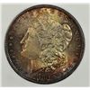 Image 2 : 1880 MORGAN SILVER DOLLAR