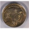 Image 2 : 1930 BUFFALO NICKEL