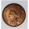 Image 2 : 1905 INDIAN CENT