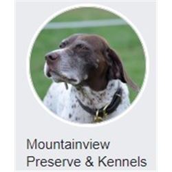 New York, USA  - 2 Hunters for ½ Day Upland Bird Hunt