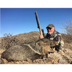 Arizona, USA - 1 Hunter for 3-Day Javelina Hunt