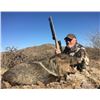 Image 1 : Arizona, USA - 1 Hunter for 3-Day Javelina Hunt