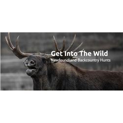 Newfoundland, Canada - 1 Hunter for 6-Day Hunt for Moose