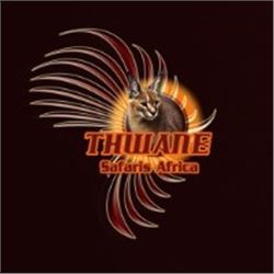 South Africa - 1 Hunter and 3 Non-Hunters for 7-Day Cape Buffalo Hunt