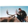 Image 1 : Colorado, USA - 1 Hunter for 5-Day Eastern Colorado Mule Deer or Whitetail Deer Hunt