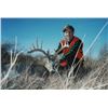 Image 3 : Colorado, USA - 1 Hunter for 5-Day Eastern Colorado Mule Deer or Whitetail Deer Hunt
